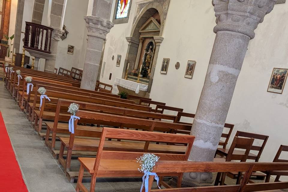 RomeuCharrua