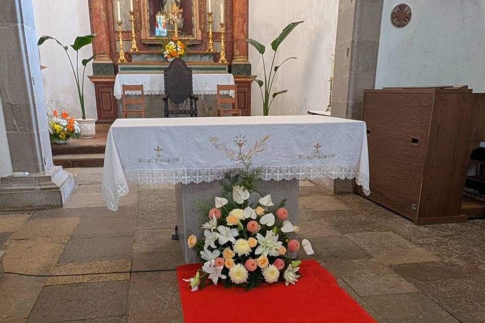 RomeuCharrua