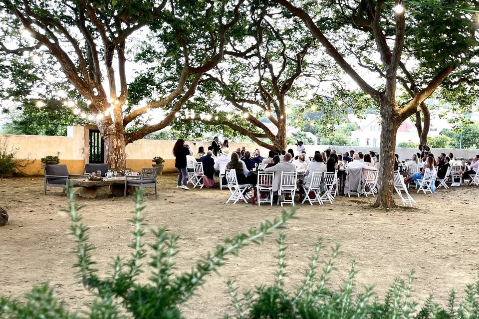Wedding 2025