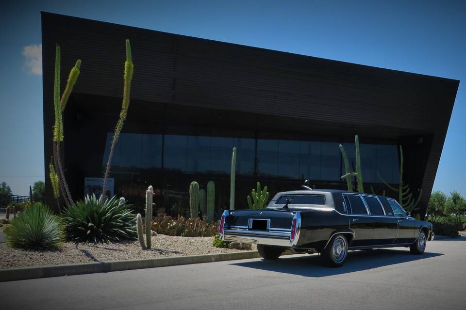 Cadillac DeVille Limo