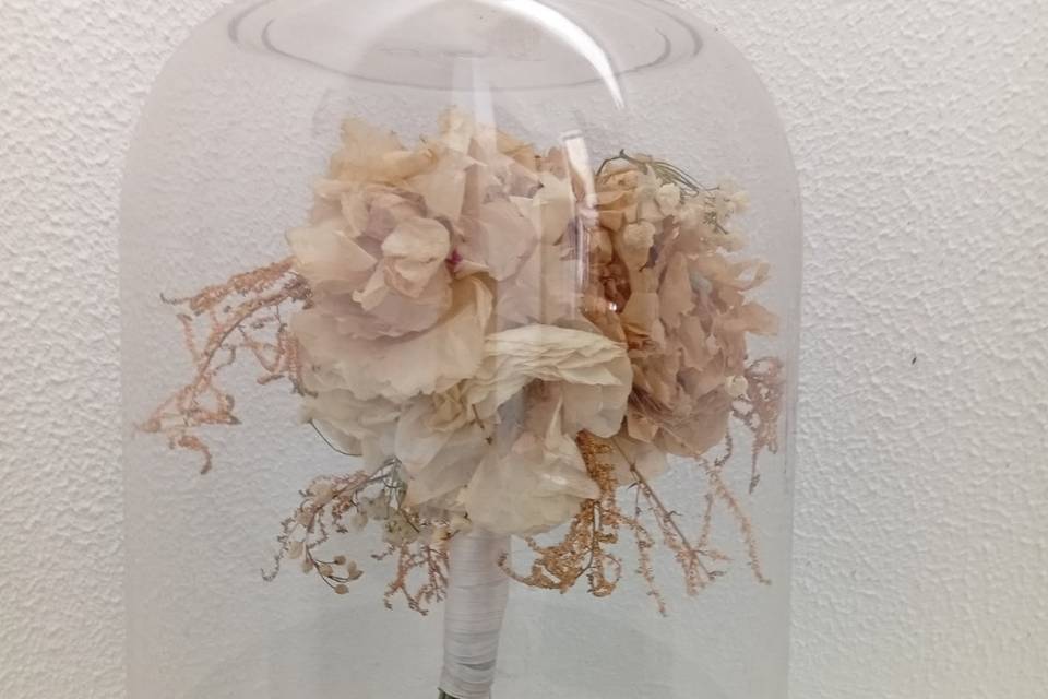 Cúpula 33x22