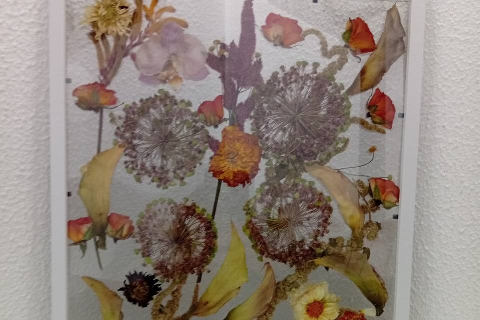 Quadro prensado 30x40