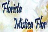 Misticaflor Florista logo