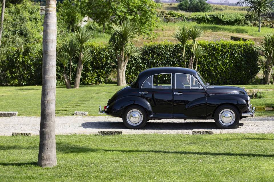 TIAGORIBEIRO