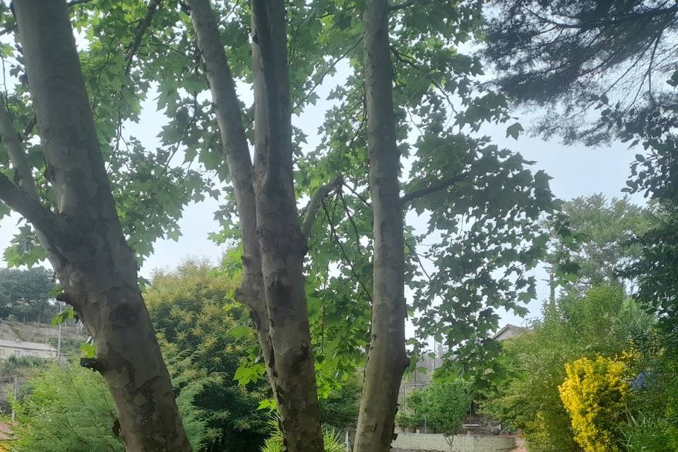 Jardim cerimónia civil