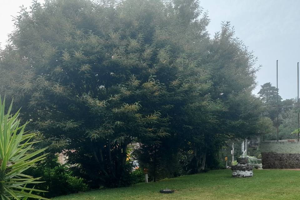 Jardim eventos