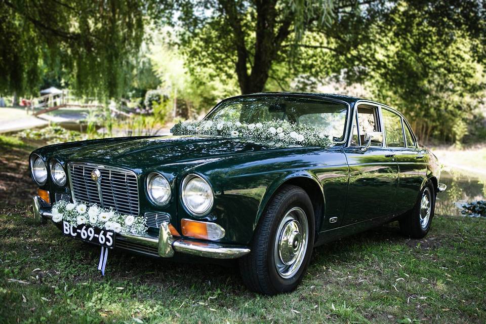 Wedding Dreams & Cars