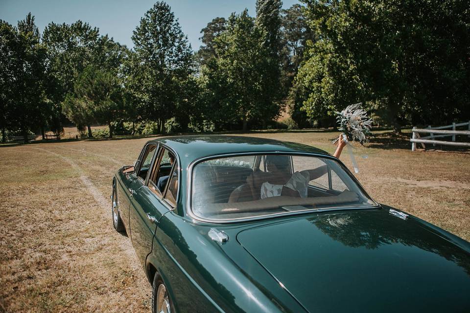 Wedding Dreams & Cars