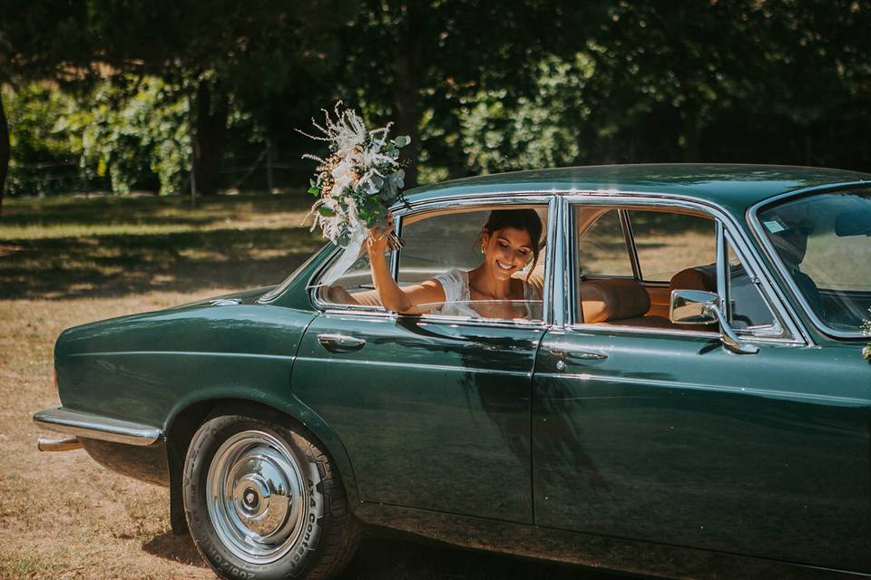 Wedding Dreams & Cars