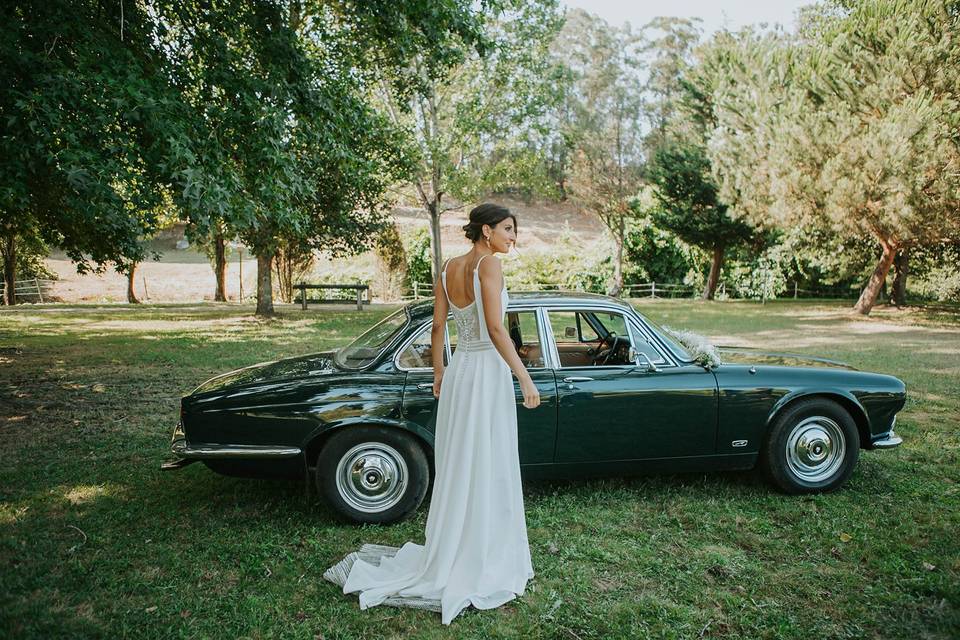 Wedding Dreams & Cars