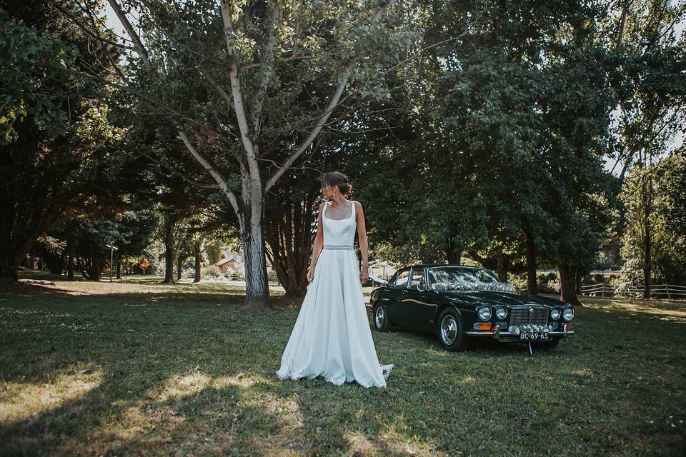 Wedding Dreams & Cars