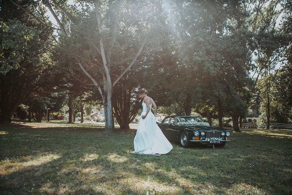 Wedding Dreams & Cars