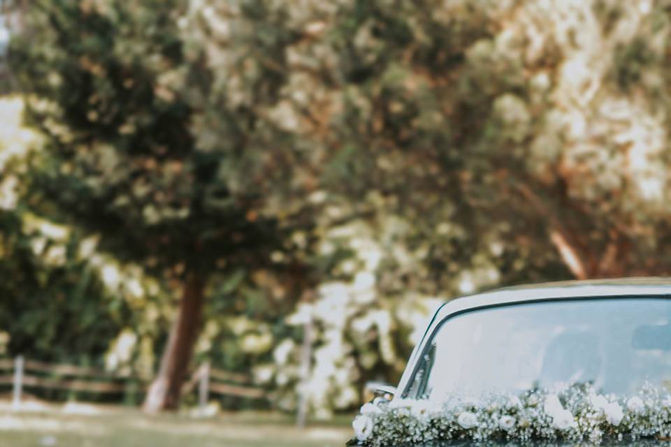 Wedding Dreams & Cars