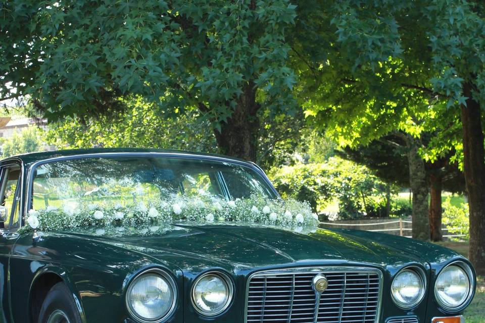 Wedding Dreams & Cars