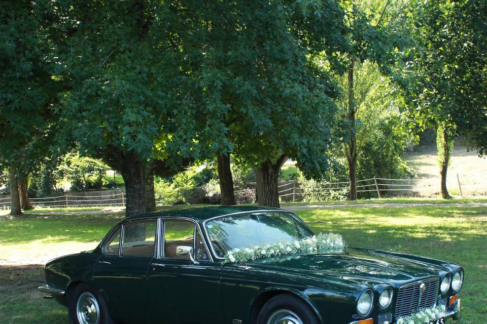 Wedding Dreams & Cars