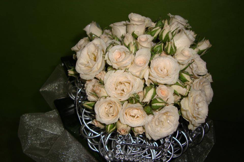 Rosas brancas