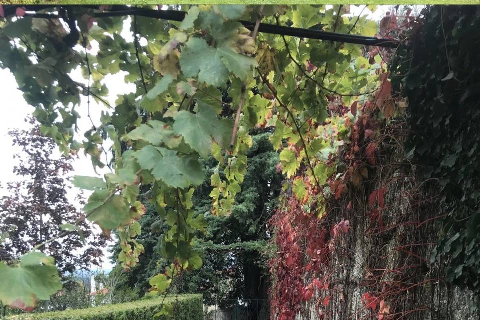 Jardins