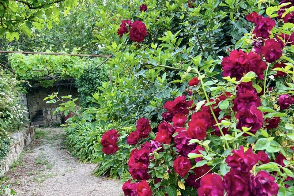 Jardins