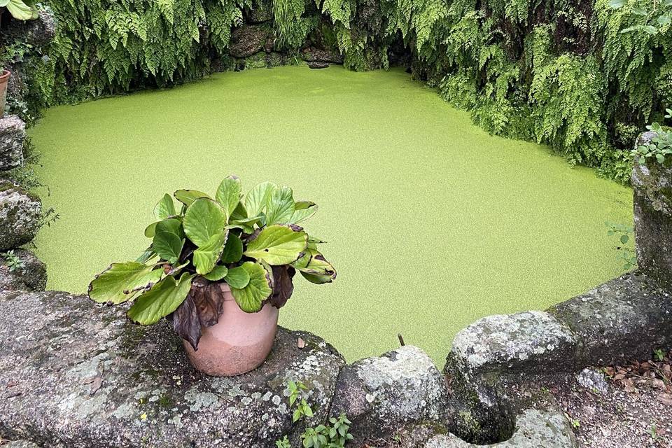 Jardins