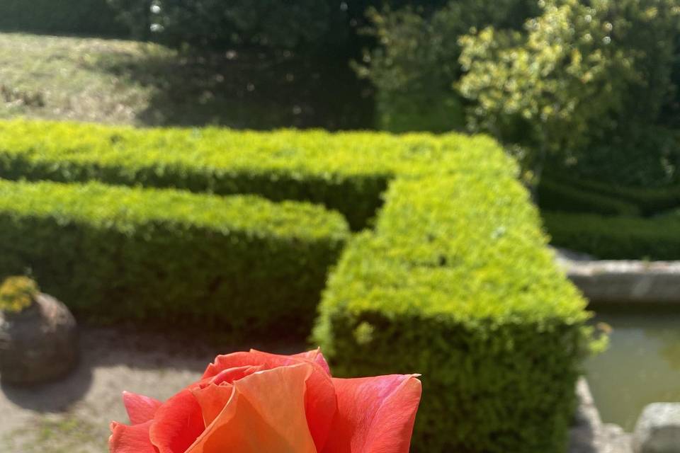 Jardins