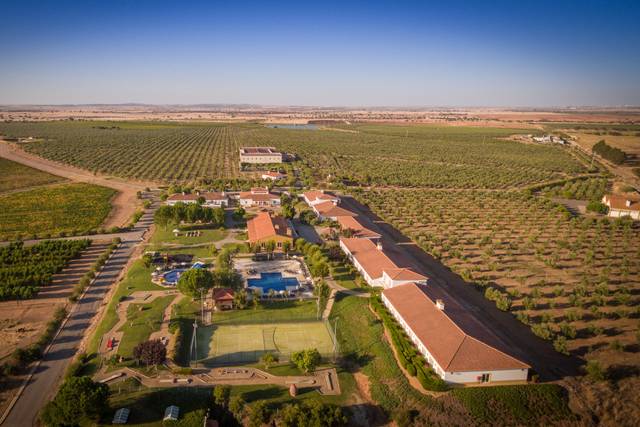 Vila Galé Alentejo Vineyards