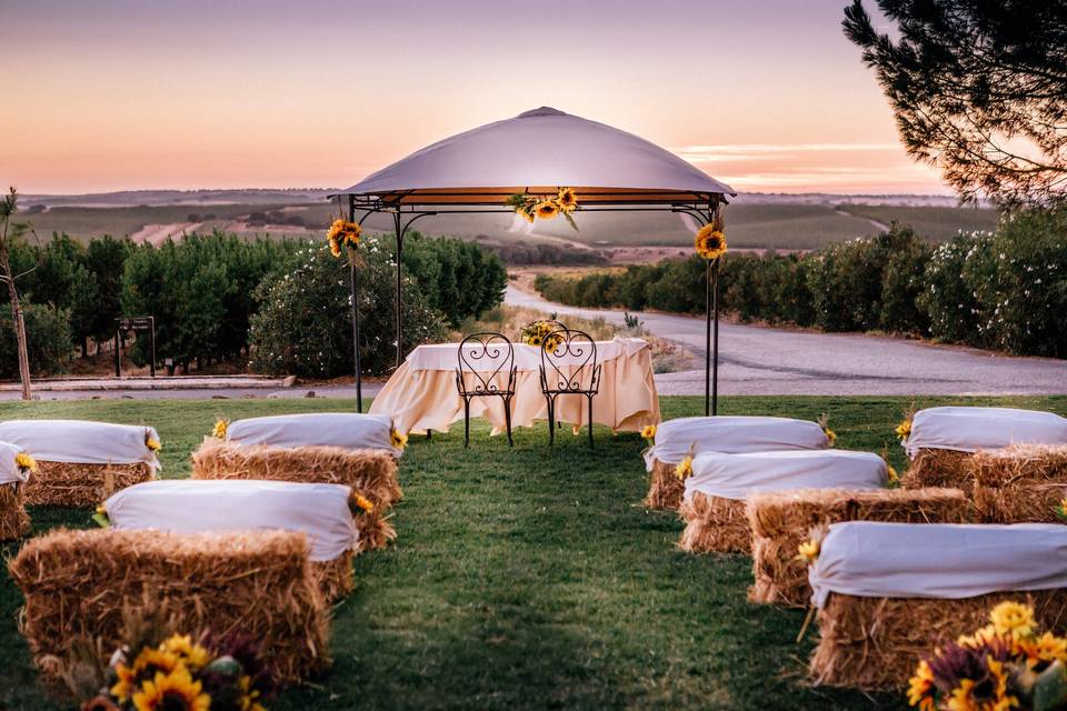 Vila Galé Alentejo Vineyards