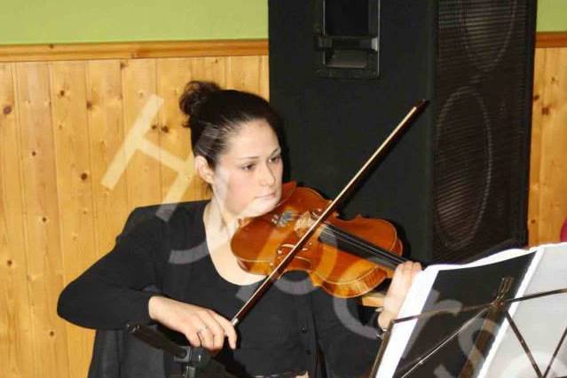 Violino