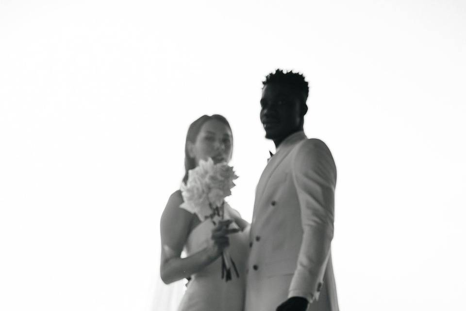 Petive - Pet Sitting Espinho