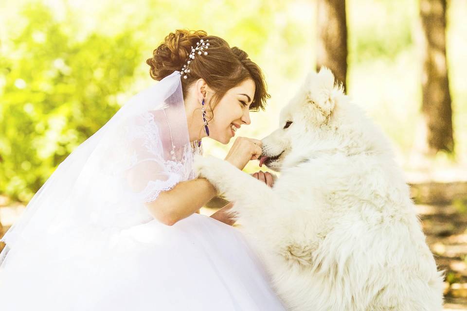 Petive Pet Sitting Vila Real