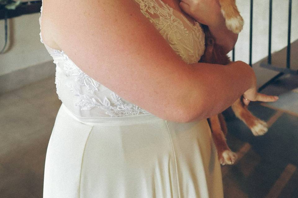 Petive  - Pet Sitting