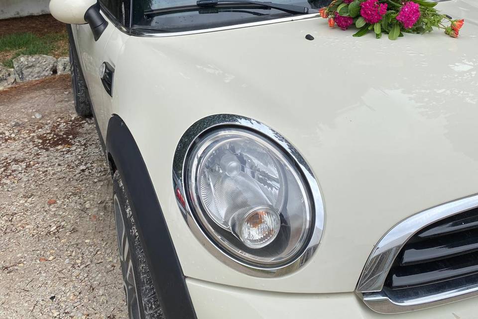 Decoração do carro