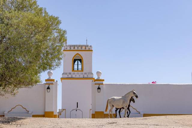 Herdade de Donas Marias
