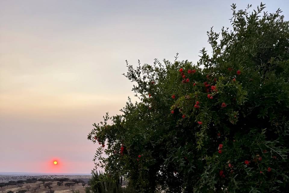 Varanda com vista pôr do sol