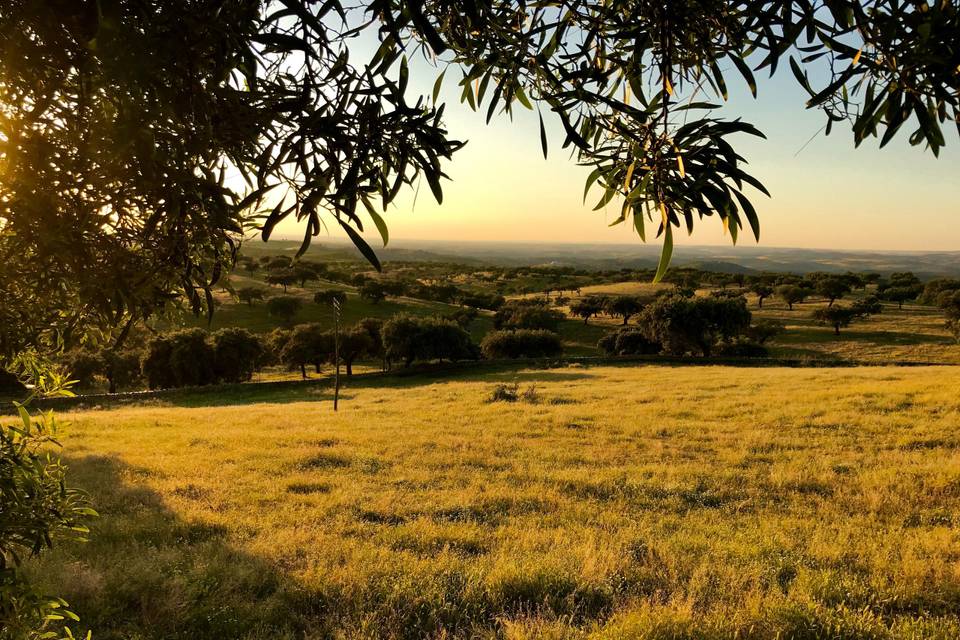 Varanda - Vista para o campo