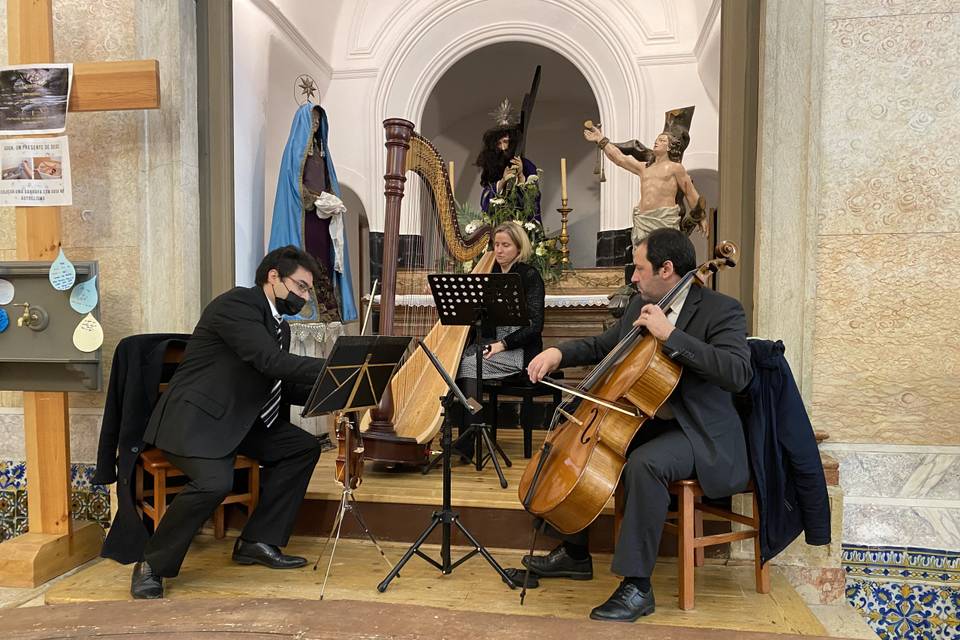 Trio harpa violino, violoncelo