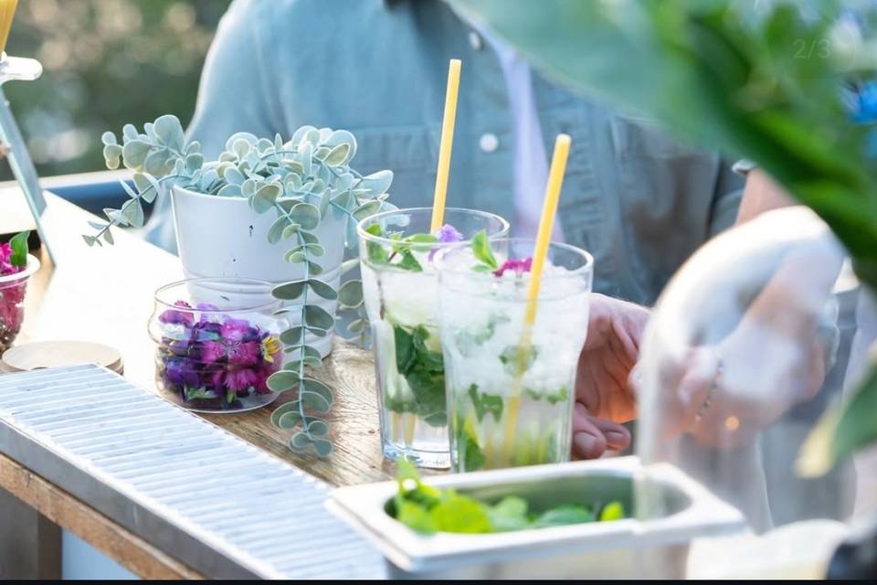 Cocktails evento