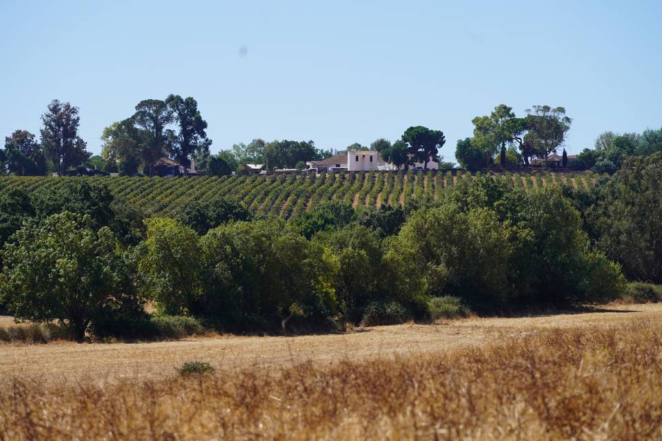 Quinta da Granja