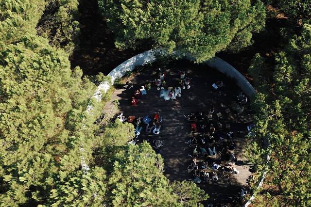 Ricardo Conceição Films