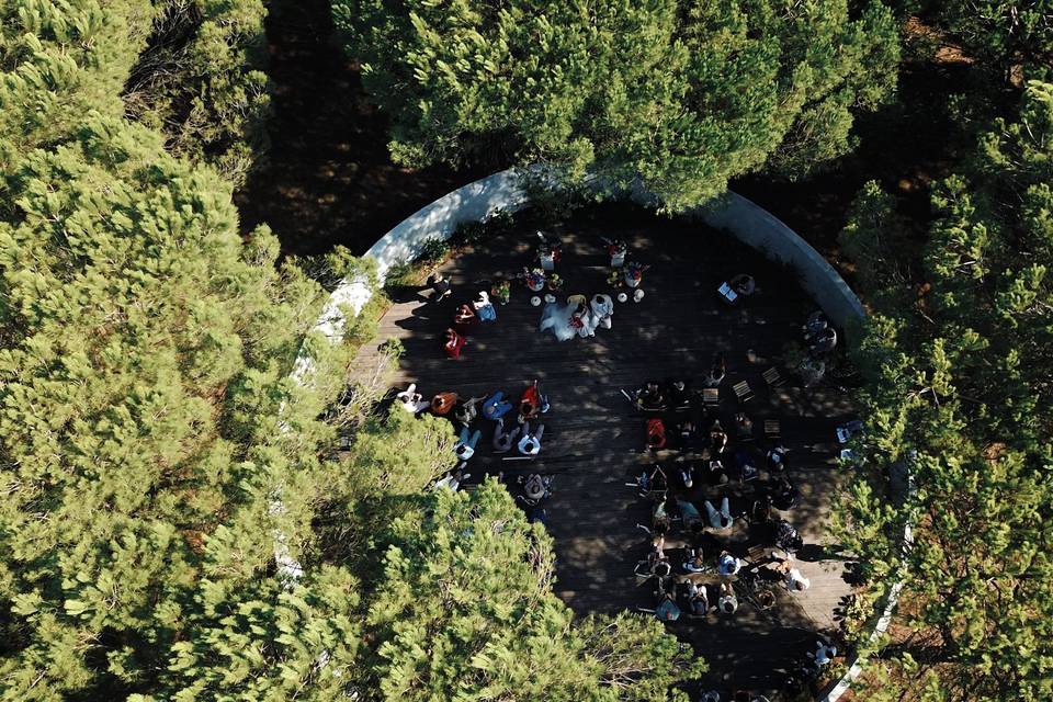 Ricardo Conceição Films