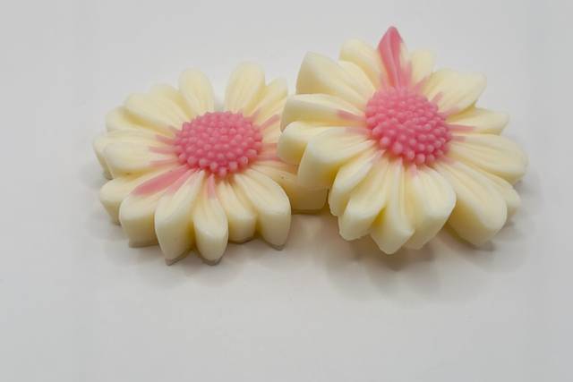 Malmequer Personalizado