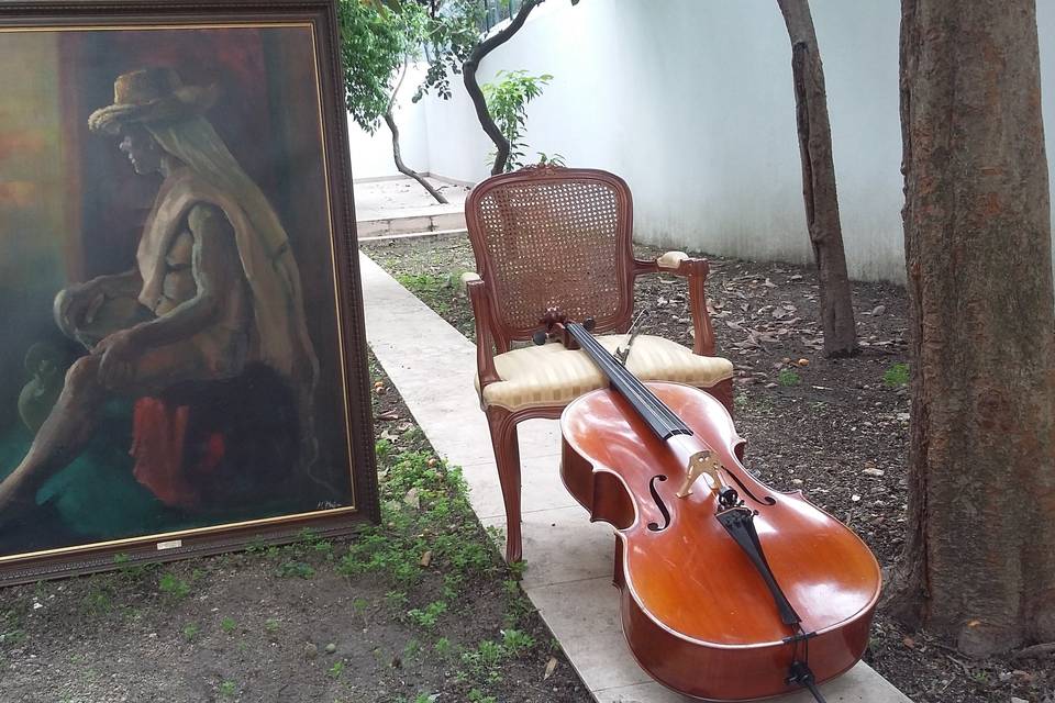 Almoço com música.