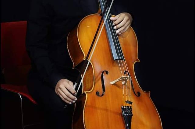 Violoncelista André