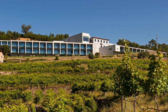 Douro Palace Hotel