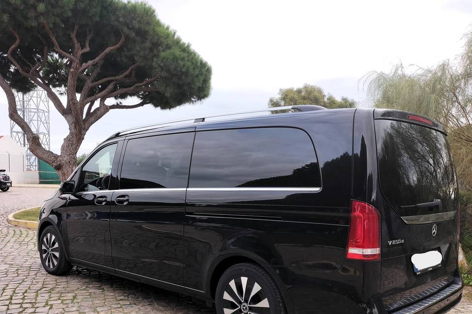 Minivan lateral