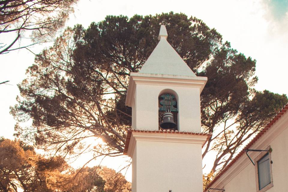 Trash the dress