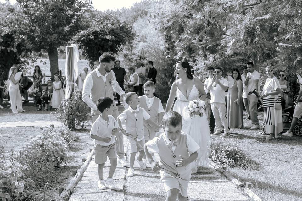 Ferlife Motion Studio