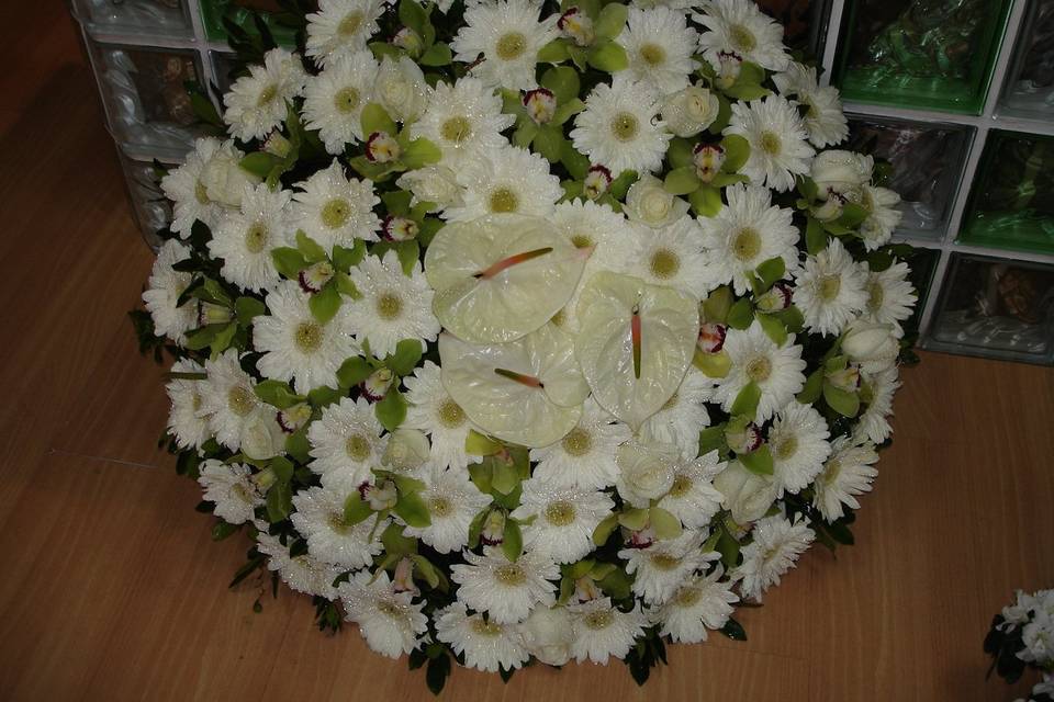 Tulipa De Cristal