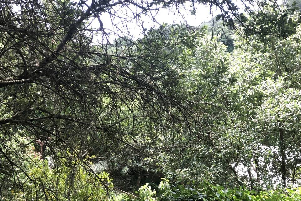 Connecting Eventos – Quinta da Cascata