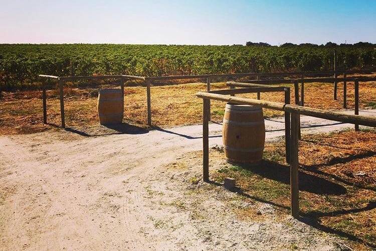 Entrada para o espaço da festa