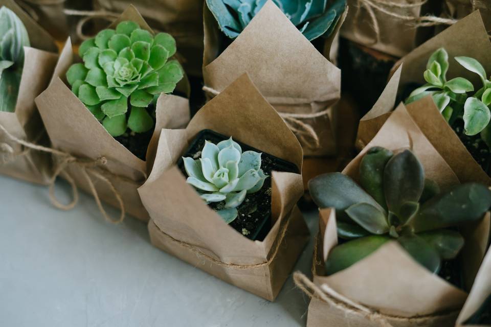 Lembrança de casamento